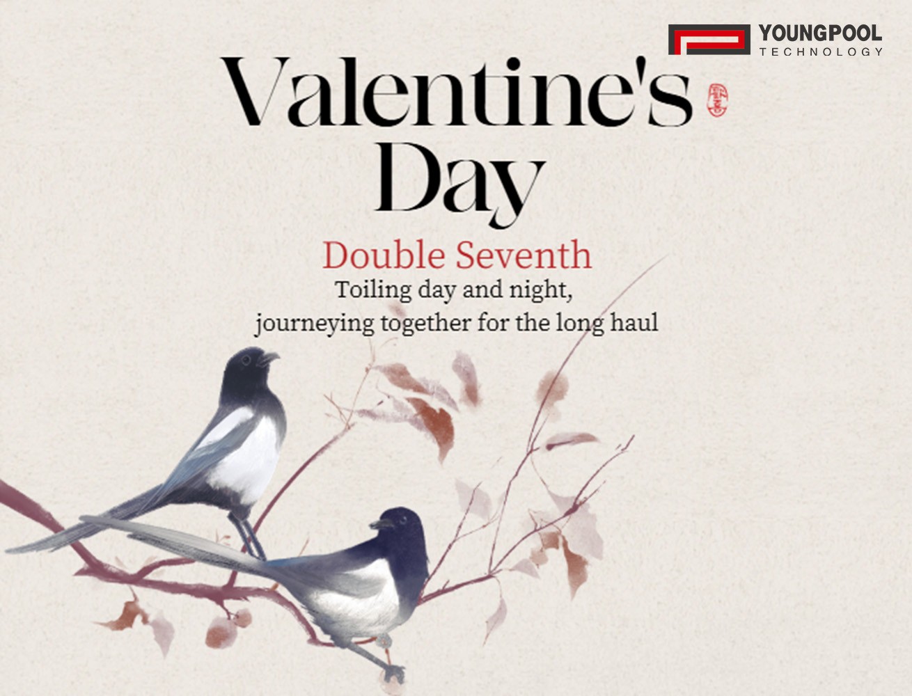 Youngpool Technology | Cultivating Every Day, Walking Together for the Long Term